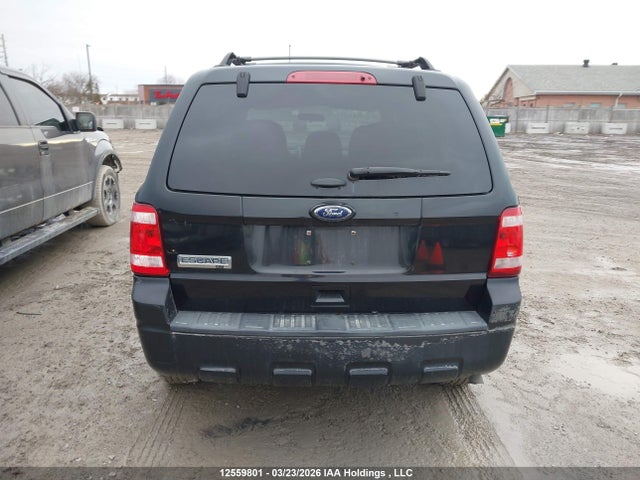 12559801 :رقم المزاد ، 1FMCU0D72BKB41888 vin ، 2011 Ford Escape Xlt Automatic مزاد بيع