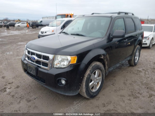 12559801 :رقم المزاد ، 1FMCU0D72BKB41888 vin ، 2011 Ford Escape Xlt Automatic مزاد بيع
