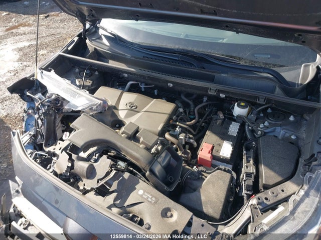 Продаж на аукціоні авто 2023 Toyota Rav4 Xle/xle Premium, vin: 2T3R1RFV7PC366816, номер лоту: 12559814