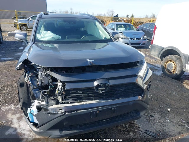 Продаж на аукціоні авто 2023 Toyota Rav4 Xle/xle Premium, vin: 2T3R1RFV7PC366816, номер лоту: 12559814