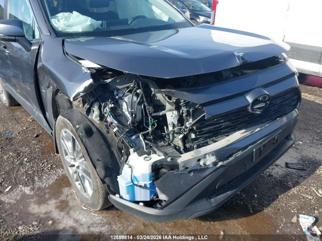 Продаж на аукціоні авто 2023 Toyota Rav4 Xle/xle Premium, vin: 2T3R1RFV7PC366816, номер лоту: 12559814