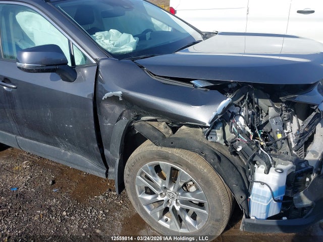 Продаж на аукціоні авто 2023 Toyota Rav4 Xle/xle Premium, vin: 2T3R1RFV7PC366816, номер лоту: 12559814