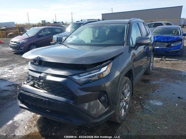 Продаж на аукціоні авто 2023 Toyota Rav4 Xle/xle Premium, vin: 2T3R1RFV7PC366816, номер лоту: 12559814