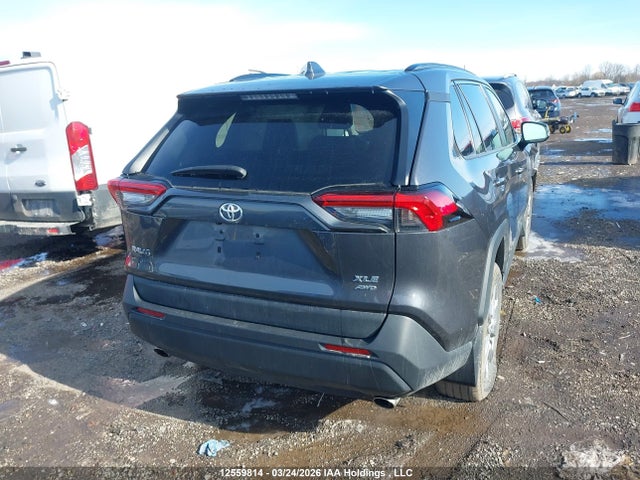 Продаж на аукціоні авто 2023 Toyota Rav4 Xle/xle Premium, vin: 2T3R1RFV7PC366816, номер лоту: 12559814