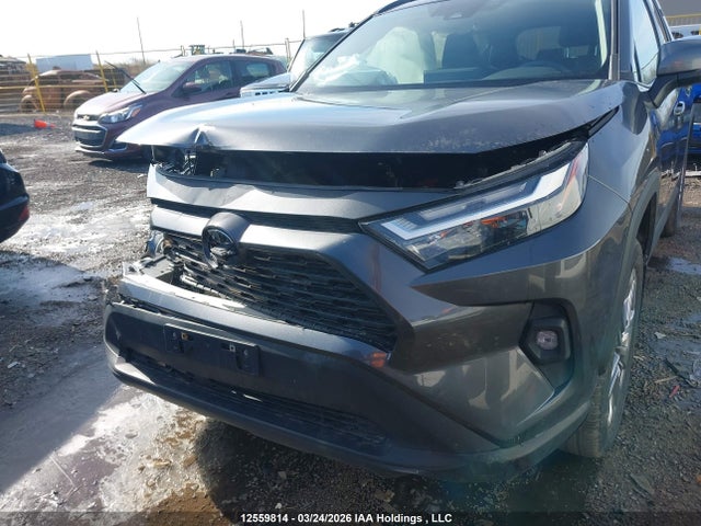Продаж на аукціоні авто 2023 Toyota Rav4 Xle/xle Premium, vin: 2T3R1RFV7PC366816, номер лоту: 12559814
