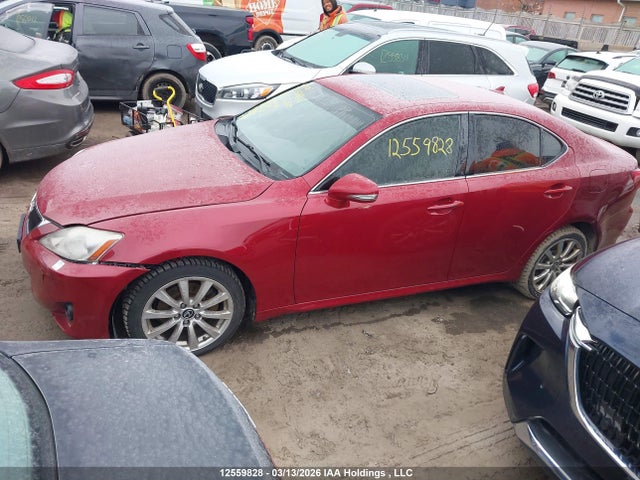 12559828 :رقم المزاد ، JTHCF5C27C5056450 vin ، 2012 Lexus Is 250 مزاد بيع