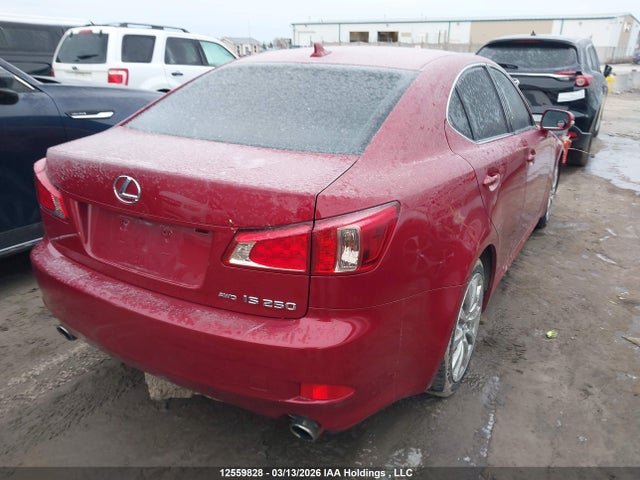12559828 :رقم المزاد ، JTHCF5C27C5056450 vin ، 2012 Lexus Is 250 مزاد بيع