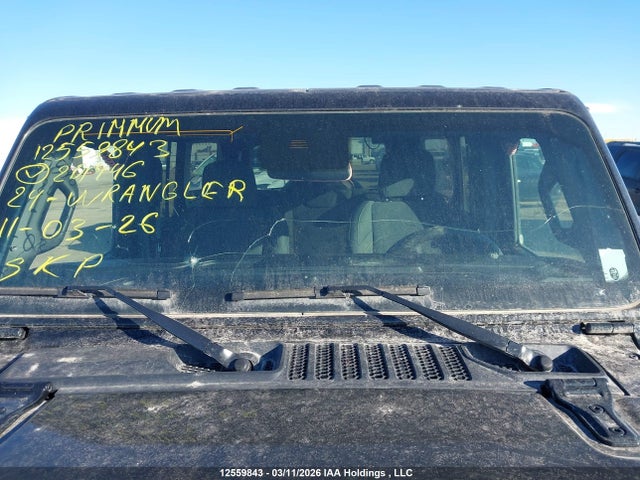 Продажа на аукционе авто 2024 Jeep Wrangler 4-door Willys, vin: 1C4PJXDN7RW201446, номер лота: 12559843