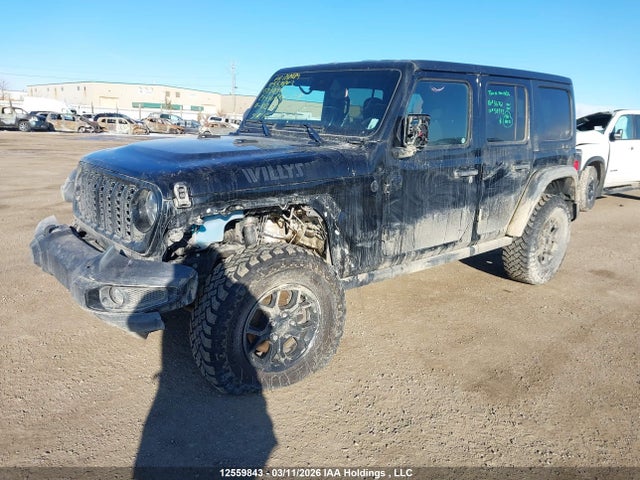 Продажа на аукционе авто 2024 Jeep Wrangler 4-door Willys, vin: 1C4PJXDN7RW201446, номер лота: 12559843