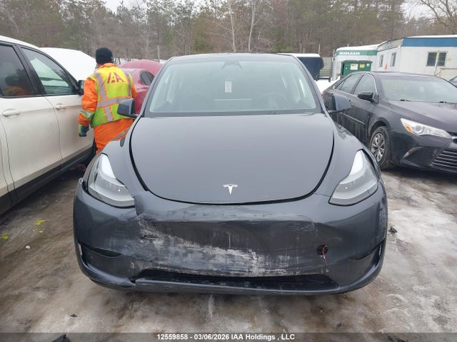 Aukcja sprzedaży 2023 Tesla Model Y, vin: 7SAYGDEE5PF597591, numer aukcji: 12559858