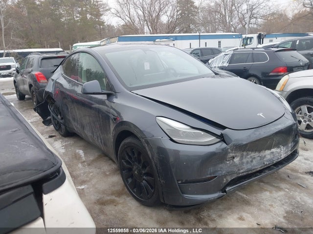 Aukcja sprzedaży 2023 Tesla Model Y, vin: 7SAYGDEE5PF597591, numer aukcji: 12559858