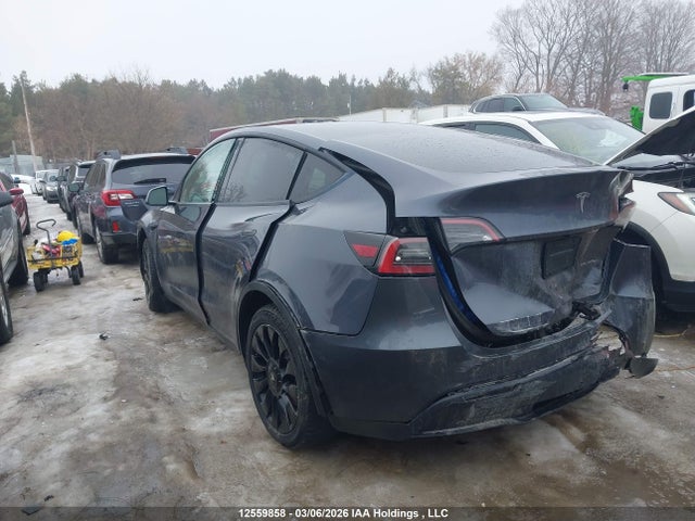 Aukcja sprzedaży 2023 Tesla Model Y, vin: 7SAYGDEE5PF597591, numer aukcji: 12559858