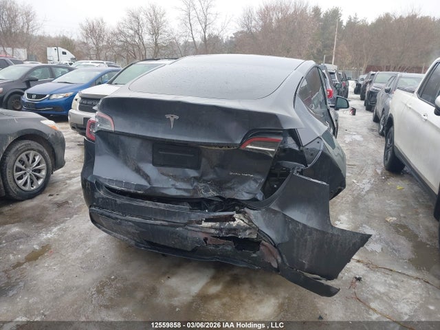 Aukcja sprzedaży 2023 Tesla Model Y, vin: 7SAYGDEE5PF597591, numer aukcji: 12559858