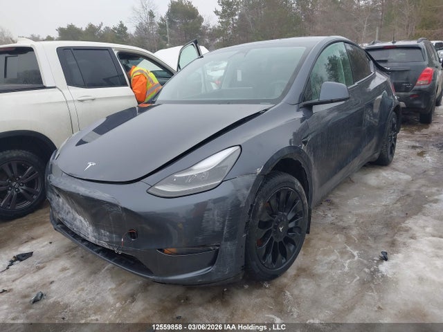 Aukcja sprzedaży 2023 Tesla Model Y, vin: 7SAYGDEE5PF597591, numer aukcji: 12559858