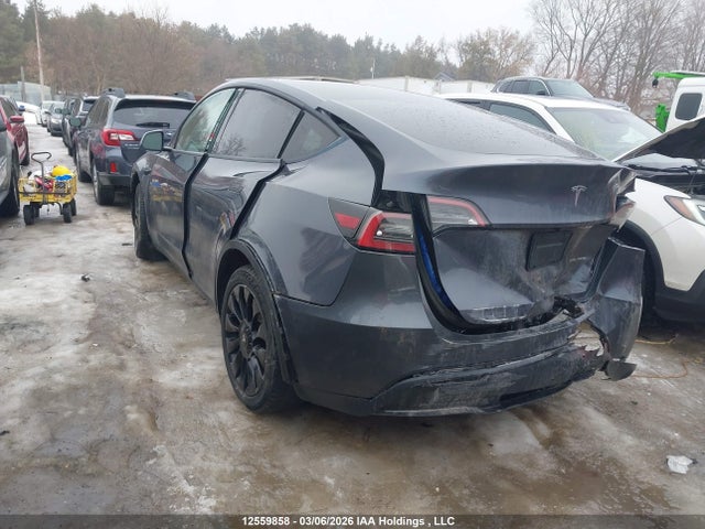 Aukcja sprzedaży 2023 Tesla Model Y, vin: 7SAYGDEE5PF597591, numer aukcji: 12559858