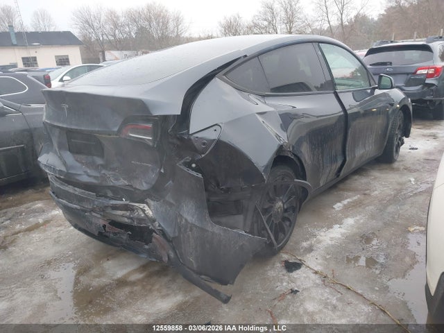 Aukcja sprzedaży 2023 Tesla Model Y, vin: 7SAYGDEE5PF597591, numer aukcji: 12559858