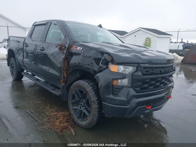 3GCPDCEK0RG447323 Chevrolet Silverado 1500 Custom Trail Boss