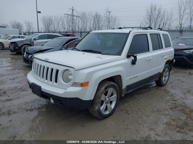 2011 Jeep Patriot Limited მანქანა იყიდება აუქციონზე, vin: 1J4NT4GBXBD208677, აუქციონის ნომერი: 12559878