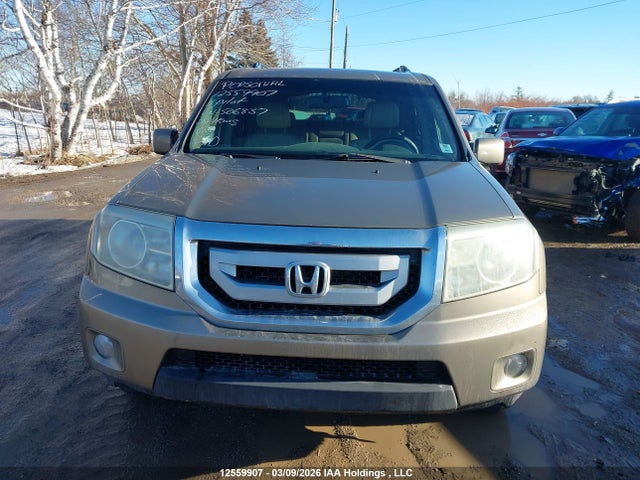 Aukcja sprzedaży 2011 Honda Pilot Exl, vin: 5FNYF4H51BB506837, numer aukcji: 12559907