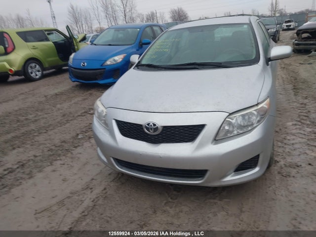 12559924 :رقم المزاد ، 2T1BU4EE2AC282285 vin ، 2010 Toyota Corolla Ce مزاد بيع