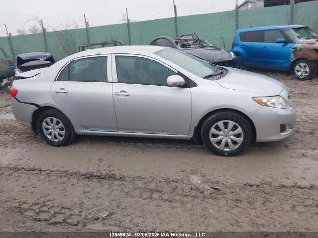 12559924 :رقم المزاد ، 2T1BU4EE2AC282285 vin ، 2010 Toyota Corolla Ce مزاد بيع