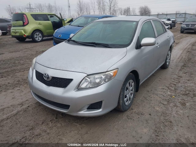 12559924 :رقم المزاد ، 2T1BU4EE2AC282285 vin ، 2010 Toyota Corolla Ce مزاد بيع
