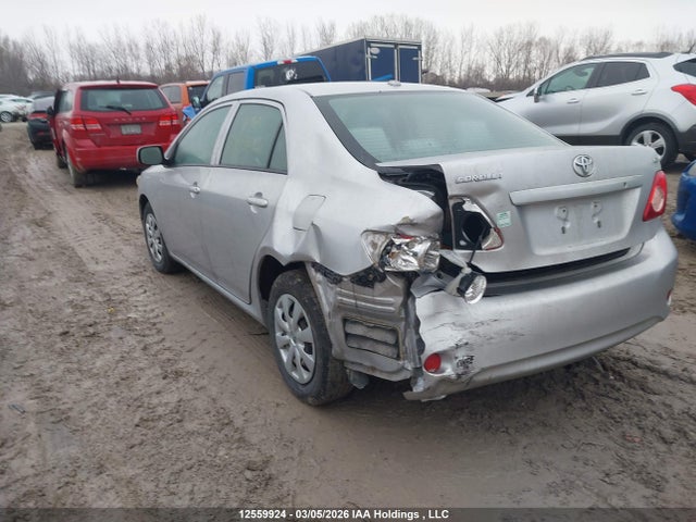 12559924 :رقم المزاد ، 2T1BU4EE2AC282285 vin ، 2010 Toyota Corolla Ce مزاد بيع