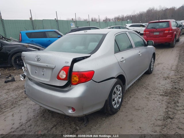 12559924 :رقم المزاد ، 2T1BU4EE2AC282285 vin ، 2010 Toyota Corolla Ce مزاد بيع