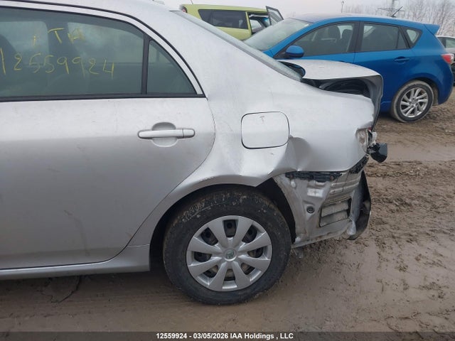 12559924 :رقم المزاد ، 2T1BU4EE2AC282285 vin ، 2010 Toyota Corolla Ce مزاد بيع