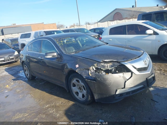 Продажа на аукционе авто 2009 Acura Tl, vin: 19UUA86599A801535, номер лота: 12559931