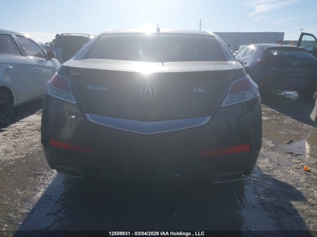Продажа на аукционе авто 2009 Acura Tl, vin: 19UUA86599A801535, номер лота: 12559931