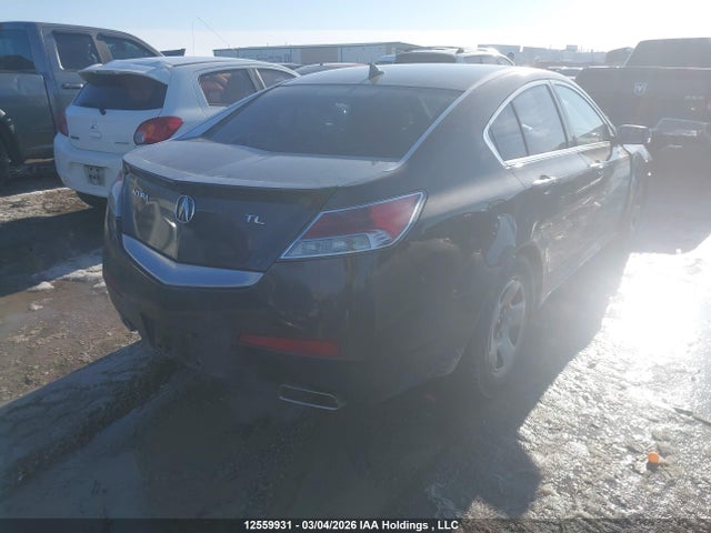 Продажа на аукционе авто 2009 Acura Tl, vin: 19UUA86599A801535, номер лота: 12559931