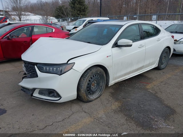 Продаж на аукціоні авто 2020 Acura Tlx, vin: 19UUB3F69LA800241, номер лоту: 12559950