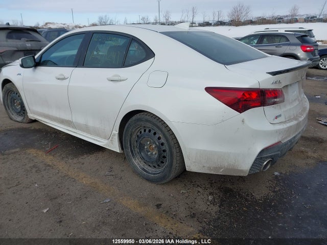 Продаж на аукціоні авто 2020 Acura Tlx, vin: 19UUB3F69LA800241, номер лоту: 12559950