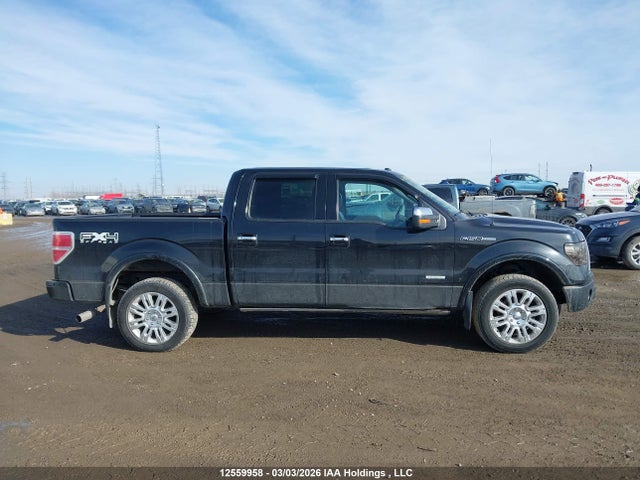 Продажа на аукционе авто 2011 Ford F-150 Platinum, vin: 1FTFW1ET8BFA51750, номер лота: 12559958