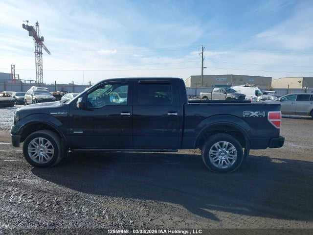 Продажа на аукционе авто 2011 Ford F-150 Platinum, vin: 1FTFW1ET8BFA51750, номер лота: 12559958