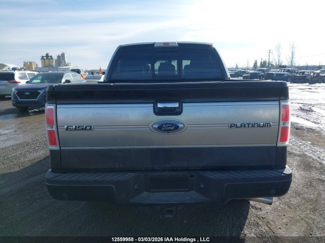 Продажа на аукционе авто 2011 Ford F-150 Platinum, vin: 1FTFW1ET8BFA51750, номер лота: 12559958