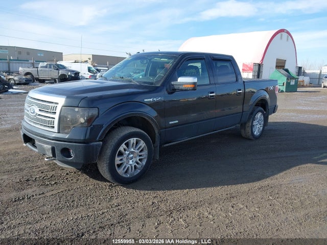 Продажа на аукционе авто 2011 Ford F-150 Platinum, vin: 1FTFW1ET8BFA51750, номер лота: 12559958