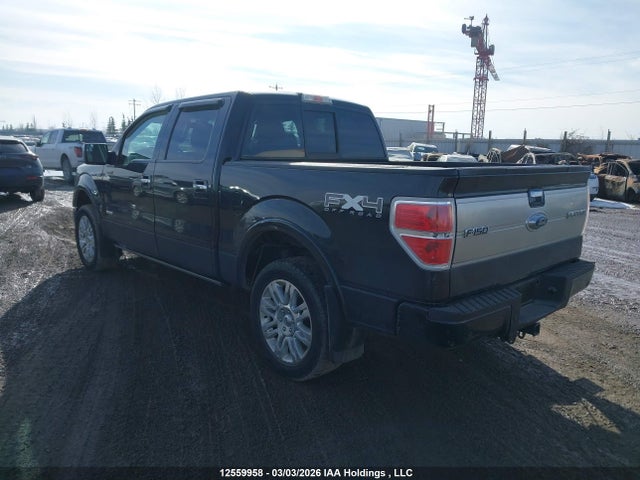 Продажа на аукционе авто 2011 Ford F-150 Platinum, vin: 1FTFW1ET8BFA51750, номер лота: 12559958