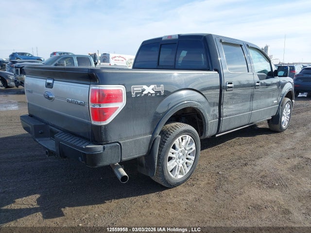 Продажа на аукционе авто 2011 Ford F-150 Platinum, vin: 1FTFW1ET8BFA51750, номер лота: 12559958