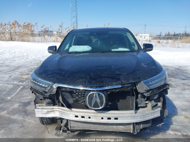 Aukcja sprzedaży 2020 Acura Rdx Elite, vin: 5J8TC2H77LL809775, numer aukcji: 12559970