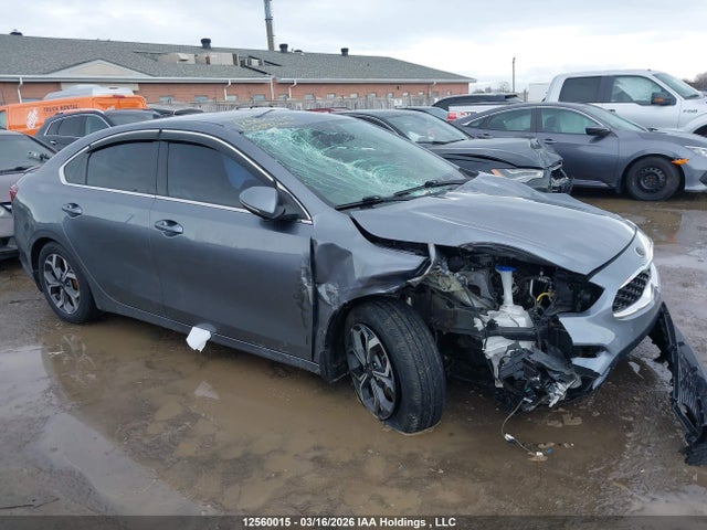 Продаж на аукціоні авто 2019 Kia Forte, vin: 3KPF54AD9KE009262, номер лоту: 12560015