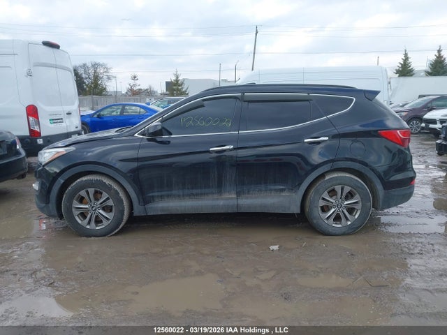 5XYZUDLBXGG336324 Hyundai Santa Fe Sport 2.4 Premium
