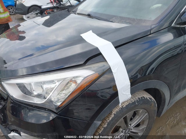 5XYZUDLBXGG336324 Hyundai Santa Fe Sport 2.4 Premium