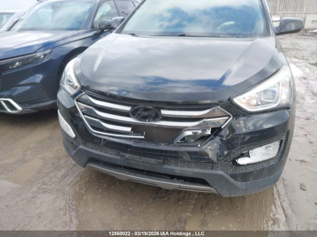 5XYZUDLBXGG336324 Hyundai Santa Fe Sport 2.4 Premium