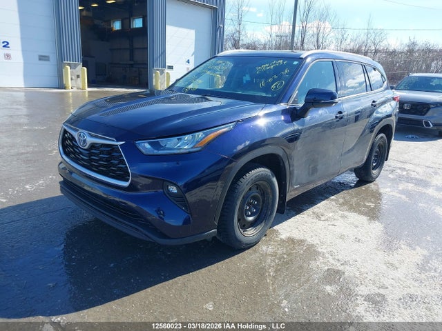 12560023 :رقم المزاد ، 5TDGBRCH8NS556494 vin ، 2022 Toyota Highlander مزاد بيع