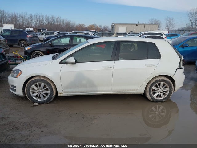 3VW217AU6FM033815 Volkswagen Golf