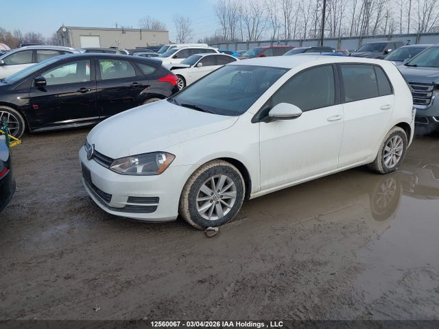 3VW217AU6FM033815 Volkswagen Golf