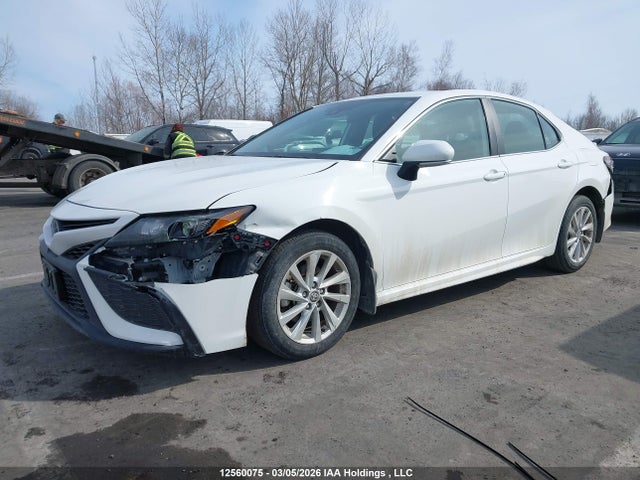 4T1G11AKXRU913738 Toyota Camry Se Night Shade/se