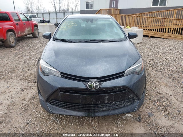 12560081 :رقم المزاد ، 2T1BURHE0KC221110 vin ، 2019 Toyota Corolla L/le/xle/se/xse مزاد بيع